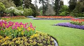 Gallery download (2)